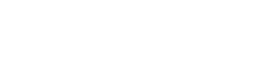 Adobe Certified Professional—Adobe Commerce Developer Adobe Certified Professional—Adobe Commerce Developer